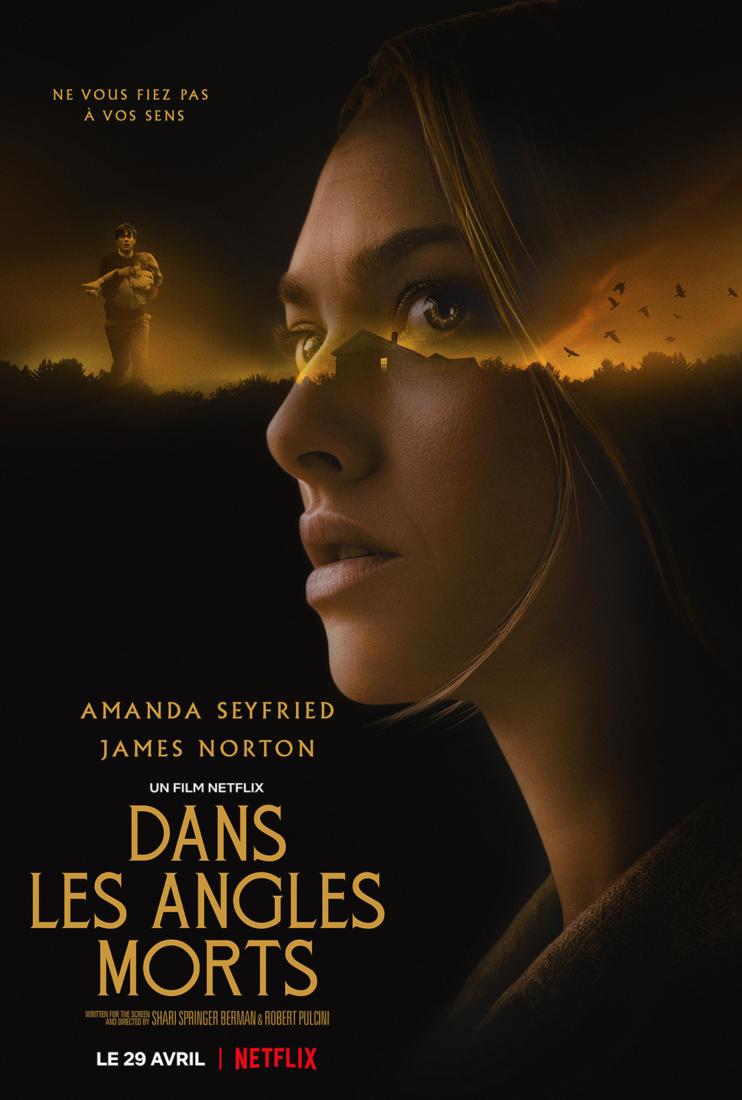 Affiche du film Dans les angles morts